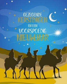 Kerstkaarten 9523