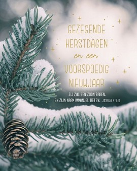 Kerstkaarten 9552