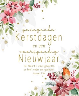 Kerstkaarten 9553
