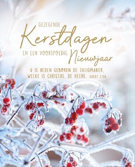 Kerstkaarten 9555