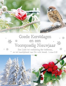 Kerstkaarten 9556
